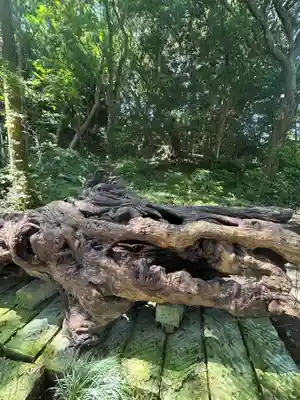 泉神社(茨城県)