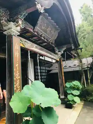 大正寺(中野不動尊)の本殿・本堂