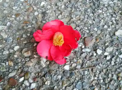 龍宮社(三重県)