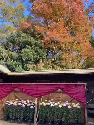 常陸國總社宮(茨城県)