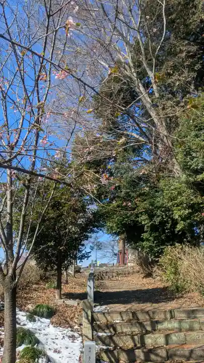 磐裂根裂神社の{uncategorized: "未分類", other: "その他", undefined: "問題あり", building: "その他建物", grave: "お墓", sacred_gate: "鳥居", guardian: "狛犬", statue: "像", buddha: "仏像", history: "歴史", nature: "自然", garden: "庭園", animal: "動物", pagoda: "塔", temizu: "手水舎", mountain_gate: "山門・神門", sanctuary: "本殿・本堂", subordinate: "末社・摂社", art: "芸術", scenery: "景色", jizo: "地蔵", ema: "絵馬", goshuin: "御朱印", omikuji: "おみくじ", items: "授与品その他", amulet: "お守り", goshuincho: "御朱印帳", eats: "食事", festival: "お祭り", votive_dance: "神楽", shichigosan: "七五三参", wedding: "結婚式", experience: "体験その他", initially: "初詣", around: "周辺", anti_infection: "感染症対策"}