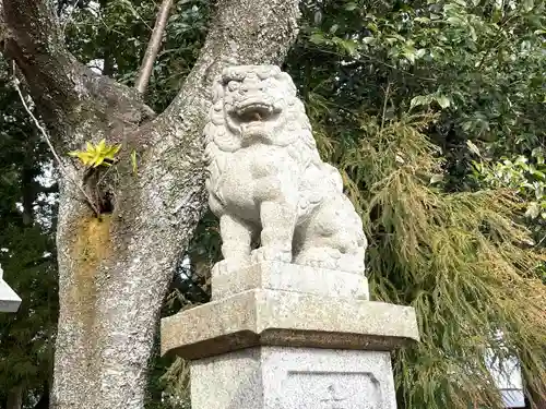 織殿神社の狛犬