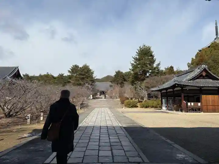 仁和寺の{uncategorized: "未分類", other: "その他", undefined: "問題あり", building: "その他建物", grave: "お墓", sacred_gate: "鳥居", guardian: "狛犬", statue: "像", buddha: "仏像", history: "歴史", nature: "自然", garden: "庭園", animal: "動物", pagoda: "塔", temizu: "手水舎", mountain_gate: "山門・神門", sanctuary: "本殿・本堂", subordinate: "末社・摂社", art: "芸術", scenery: "景色", jizo: "地蔵", ema: "絵馬", goshuin: "御朱印", omikuji: "おみくじ", items: "授与品その他", amulet: "お守り", goshuincho: "御朱印帳", eats: "食事", festival: "お祭り", votive_dance: "神楽", shichigosan: "七五三参", wedding: "結婚式", experience: "体験その他", initially: "初詣", around: "周辺", anti_infection: "感染症対策"}