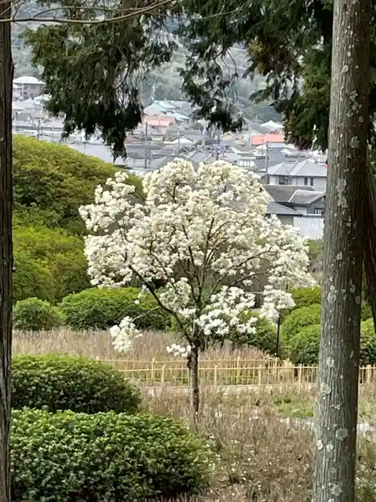 三室戸寺(京都府)