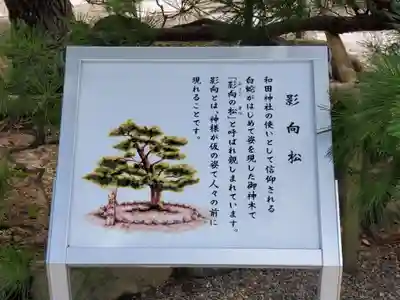 和田神社の歴史