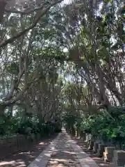 酒列磯前神社の自然