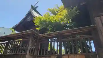 一宮神社(愛媛県)