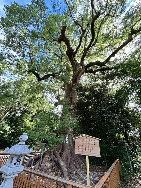 和泉國一之宮 大鳥大社(大阪府)