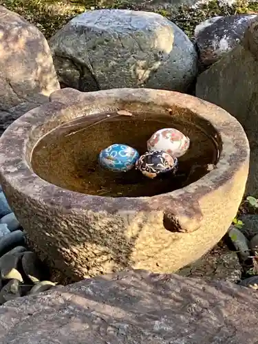 大松禅寺(京都府)