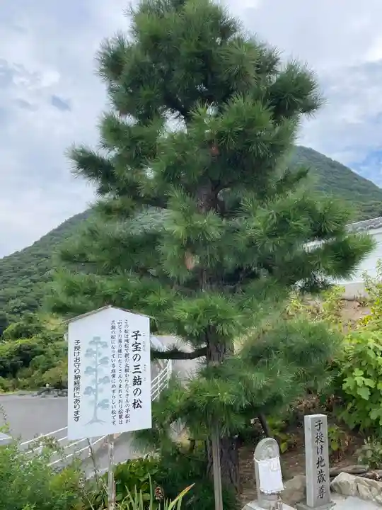 出釋迦寺(香川県)