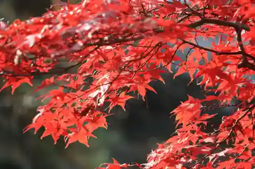 開成山大神宮の庭園