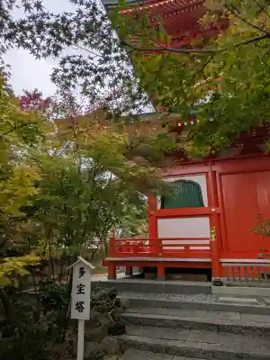 如意輪寺の{uncategorized: "未分類", other: "その他", undefined: "問題あり", building: "その他建物", grave: "お墓", sacred_gate: "鳥居", guardian: "狛犬", statue: "像", buddha: "仏像", history: "歴史", nature: "自然", garden: "庭園", animal: "動物", pagoda: "塔", temizu: "手水舎", mountain_gate: "山門・神門", sanctuary: "本殿・本堂", subordinate: "末社・摂社", art: "芸術", scenery: "景色", jizo: "地蔵", ema: "絵馬", goshuin: "御朱印", omikuji: "おみくじ", items: "授与品その他", amulet: "お守り", goshuincho: "御朱印帳", eats: "食事", festival: "お祭り", votive_dance: "神楽", shichigosan: "七五三参", wedding: "結婚式", experience: "体験その他", initially: "初詣", around: "周辺", anti_infection: "感染症対策"}