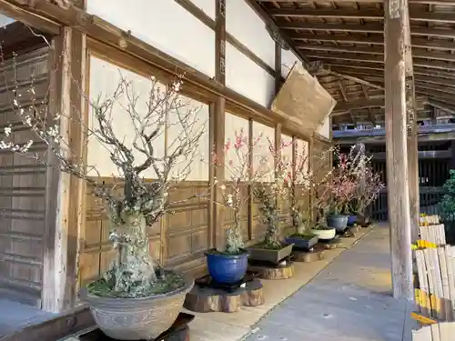 石山寺(滋賀県)