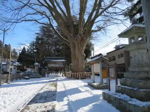 住吉神社の建物その他