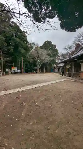 竹内神社(千葉県)