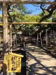 善養寺の庭園