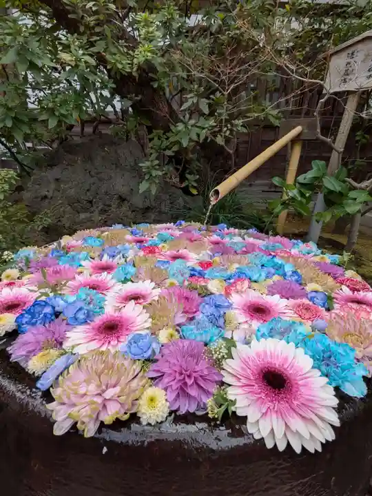 心行寺(東京都)