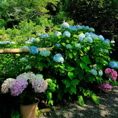 極楽寺(静岡県)