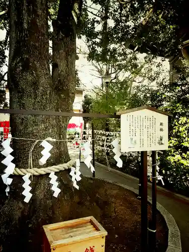 溝口神社の自然