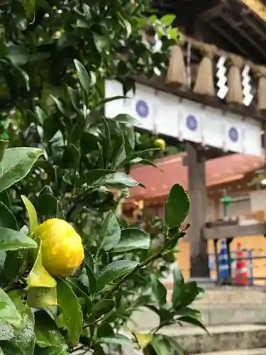 宇倍神社(鳥取県)
