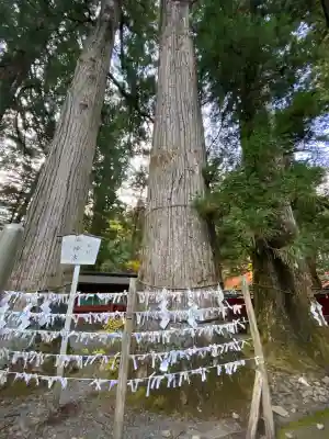 日光二荒山神社(栃木県)