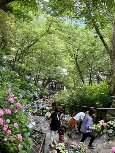長谷寺(奈良県)