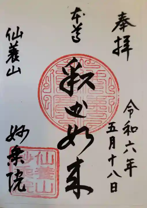 四季桜の寺 妙乗院の御朱印