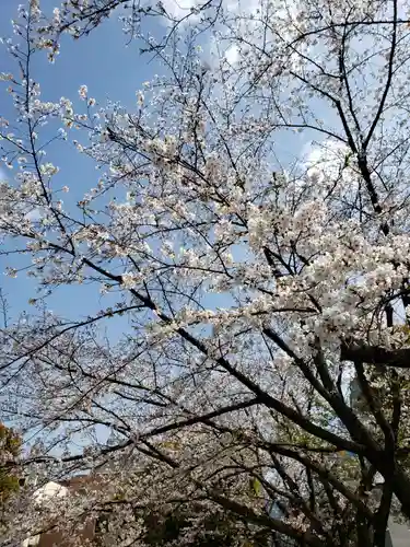 宝仙寺(東京都)