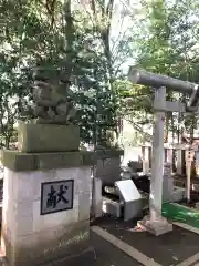 小平神明宮の狛犬