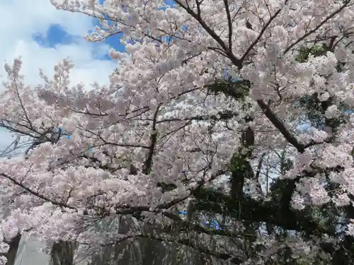 妙徳寺(福島県)