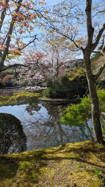 龍安寺(京都府)