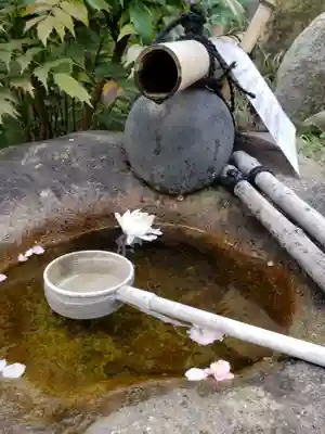 心光院(東京都)