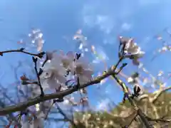 検見川神社の自然