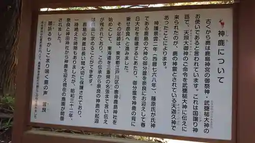 鹿島神宮の歴史