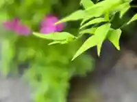 西方山極楽寺(岐阜県)