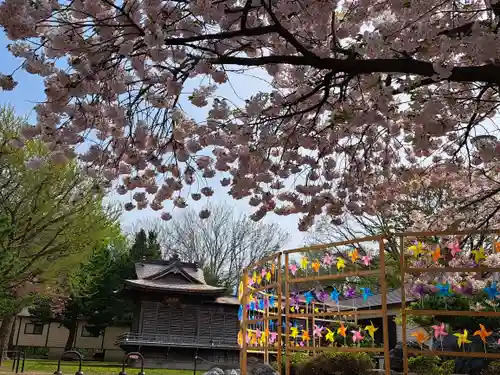 岩内神社の建物その他