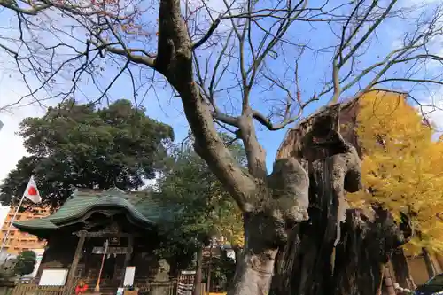 阿邪訶根神社の景色