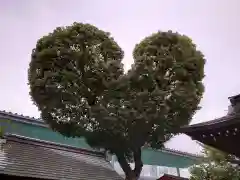 南宮宇佐八幡神社（脇浜神社）(兵庫県)