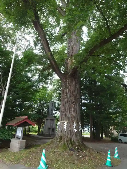 音更神社の自然