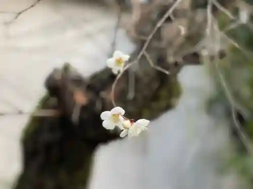 伊勢の国 四天王寺の自然
