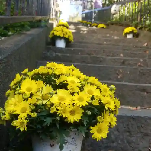 牛天神北野神社の建物その他