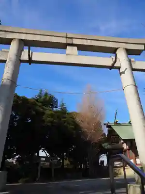奥戸天祖神社の鳥居