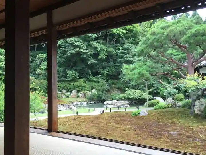 青蓮院門跡の庭園