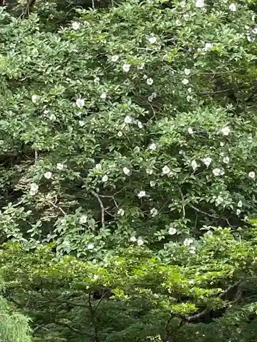 国上寺(新潟県)