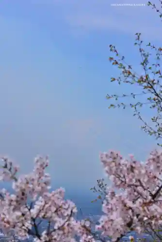 新倉富士浅間神社(山梨県)