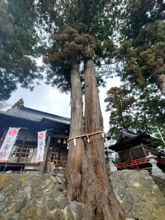 高司神社〜むすびの神の鎮まる社〜(福島県)