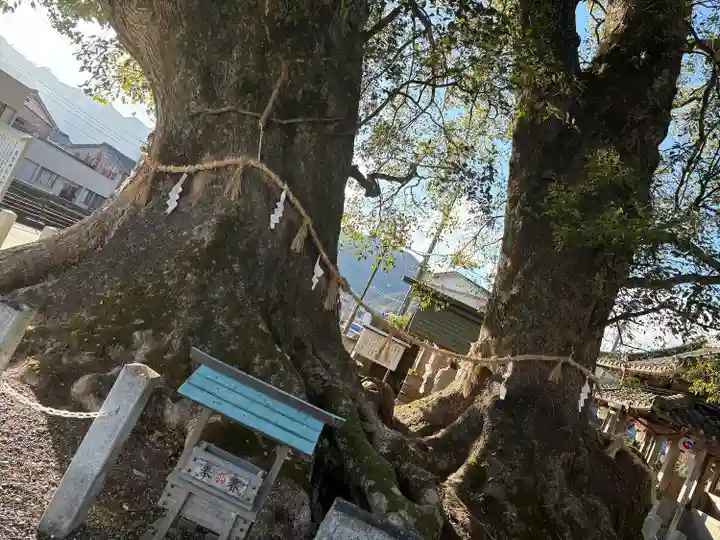 尾鷲神社(三重県)