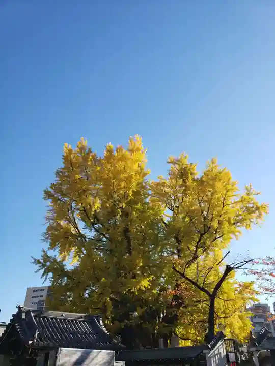 善福寺(東京都)