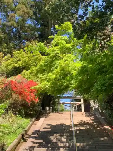 大胡神社(群馬県)