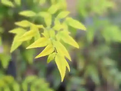 西方山極楽寺(岐阜県)